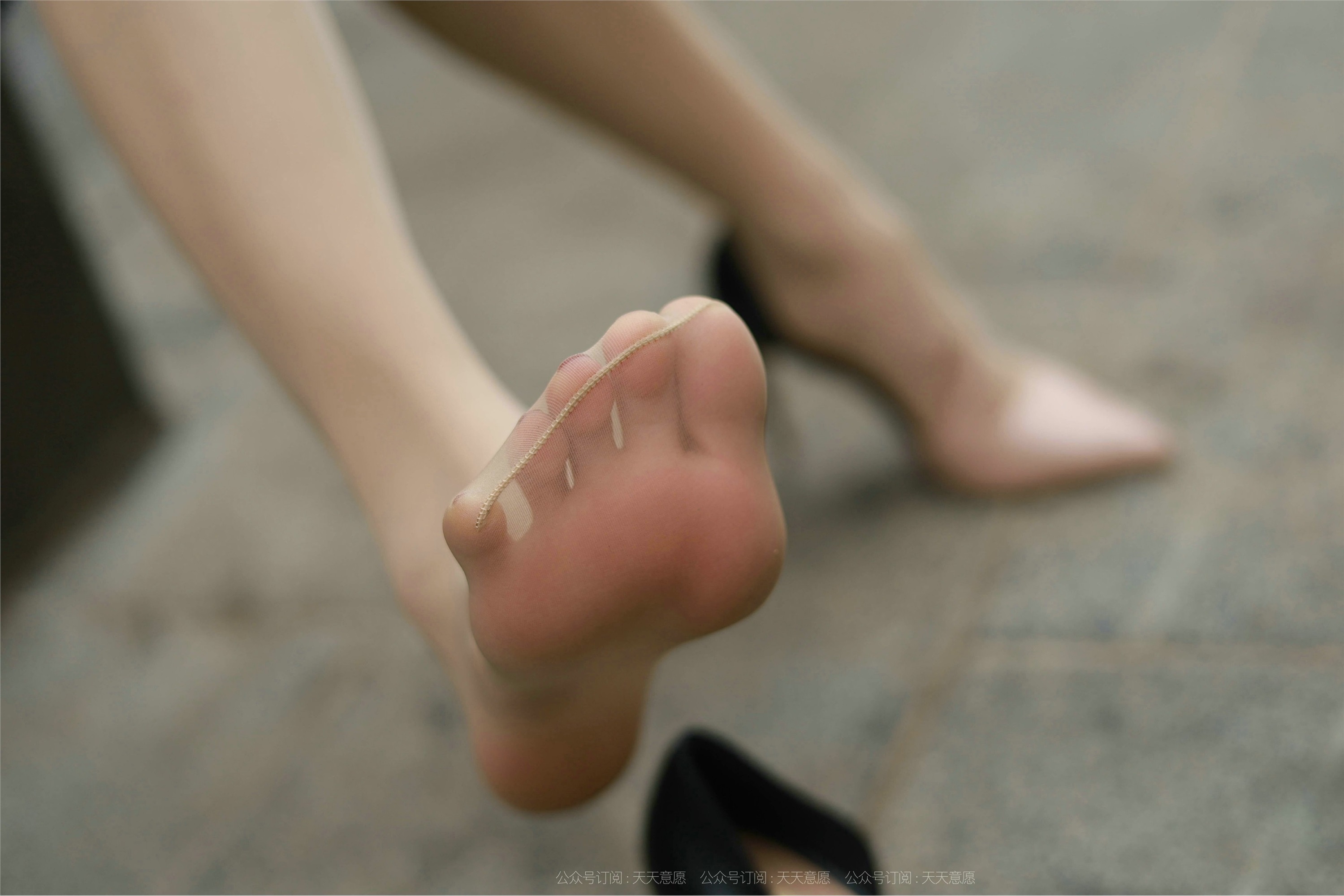 IESS异思趣向  2021.10.23 丝享家955：小六《带你去散步》